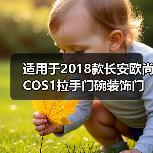 适用于2018款长安欧尚COS1拉手门碗装饰门把手改装**保护亮片贴（图3）