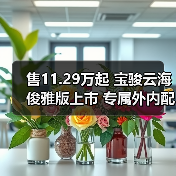 售11.29万起 宝骏云海俊雅版上市 专属外内配色（图1）