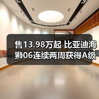 售13.98万起 比亚迪海狮06连续两周获得A级SUV销（图2）
