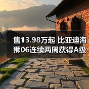 售13.98万起 比亚迪海狮06连续两周获得A级SUV销（图4）