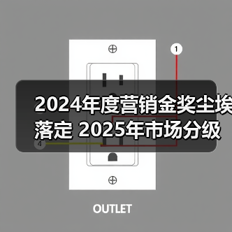 2024年度营销金奖尘埃落定 2025年市场分级正在形成（图4）