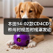 本田94-02款CD4CD5雅阁时规盖时规罩发动机时规壳奥德赛时规（图1）