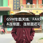 GSM车载天线，FAKRA连接器，连接器还可根据要求定制（图1）
