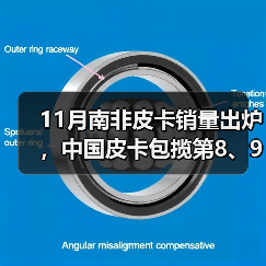 11月南非皮卡销量出炉，中国皮卡包揽第8、9名（图4）