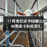 11月南非皮卡销量出炉，中国皮卡包揽第8、9名（图1）