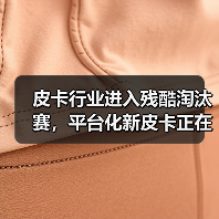 皮卡行业进入残酷淘汰赛，平台化新皮卡正在赢家通吃（图2）