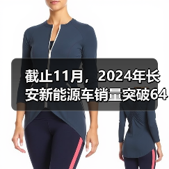 截止11月，2024年长安新能源车销量突破64万辆！同比大涨98%！（图2）