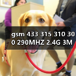 gsm 433 315 310 300 290MHZ 2.4G 3M粘贴试天线 内置PCB 铜圈（图4）