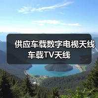 供应车载数字电视天线 车载TV天线（图4）