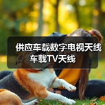 供应车载数字电视天线 车载TV天线（图3）
