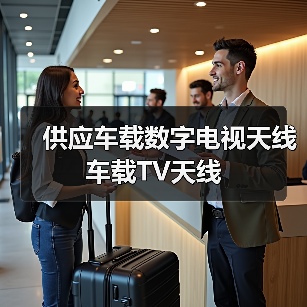 供应车载数字电视天线 车载TV天线（图2）