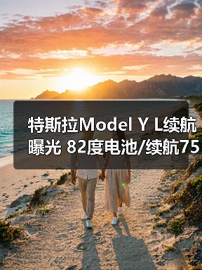 特斯拉Model Y L续航曝光 82度电池/续航751km（图3）