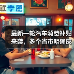 最新一轮汽车消费补贴来袭，多个省市明确皮卡也享受同等补贴（图4）