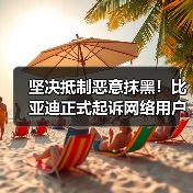 坚决抵制恶意抹黑！比亚迪正式起诉网络用户“徐里里Xll”（图3）