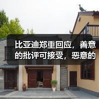 比亚迪郑重回应，善意的批评可接受，恶意的中伤将一追到底！（图3）