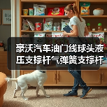 豪沃汽车油门线球头液压支撑杆气弹簧支撑杆卡簧6x6拉杆球珠连接（图1）