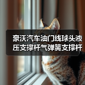 豪沃汽车油门线球头液压支撑杆气弹簧支撑杆卡簧6x6拉杆球珠连接（图1）