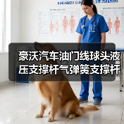 豪沃汽车油门线球头液压支撑杆气弹簧支撑杆卡簧6x6拉杆球珠连接（图4）
