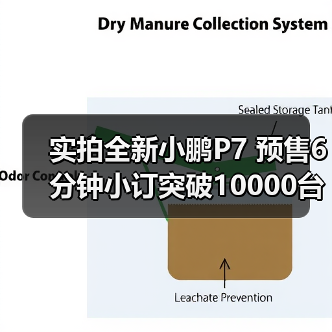 实拍全新小鹏P7 预售6分钟小订突破10000台（图3）