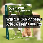 实拍全新小鹏P7 预售6分钟小订突破10000台（图2）