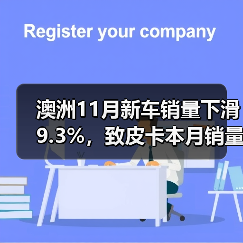 澳洲11月新车销量下滑9.3%，致皮卡本月销量整体走低（图4）