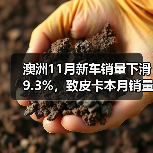 澳洲11月新车销量下滑9.3%，致皮卡本月销量整体走低（图2）