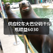 供应校车大巴空调干燥瓶精益6030（图1）