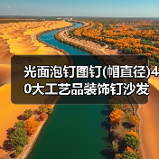 光面泡钉图钉(帽直径)40大工艺品装饰钉沙发钉门钉大头钉按钉鼓钉（图4）
