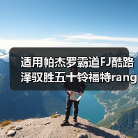 适用帕杰罗霸道FJ酷路泽驭胜五十铃福特ranger负值电镀轮毂17寸（图4）