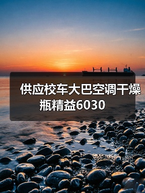 供应校车大巴空调干燥瓶精益6030（图2）