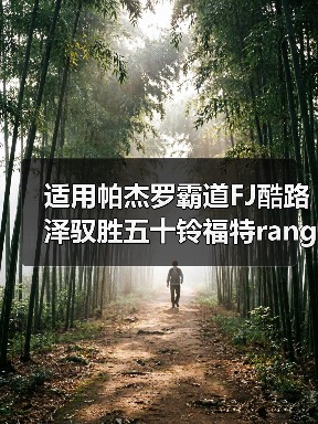 适用帕杰罗霸道FJ酷路泽驭胜五十铃福特ranger负值电镀轮毂17寸（图1）