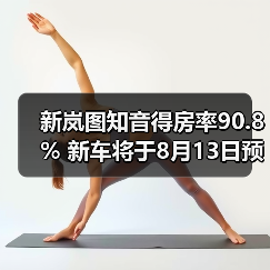 新岚图知音得房率90.8% 新车将于8月13日预售（图4）