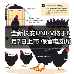 全新长安UNI-V将于8月7日上市 保留电动尾翼设计（图4）