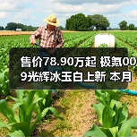 售价78.90万起 极氪009光辉冰玉白上新 本月交付（图3）