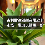 吉利雷达剑指商用皮卡市场：增加长箱版、价格或低至10万起（图1）