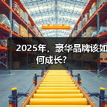 2025年，豪华品牌该如何成长？（图4）