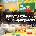 供应客车大巴Bizer比泽尔空调压缩机轴封油封（图1）