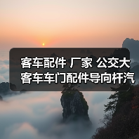 客车配件 厂家 公交大客车车门配件导向杆汽微动开关电动开关（图4）