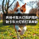 奔驰卡车大灯保护网奔驰卡车大灯铁灯罩奔驰卡车配件（图3）
