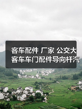客车配件 厂家 公交大客车车门配件导向杆汽微动开关电动开关（图3）