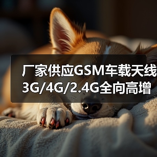 厂家供应GSM车载天线 3G/4G/2.4G全向高增益汽车吸盘磁铁天线N头（图3）