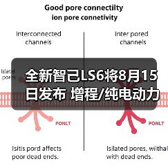 全新智己LS6将8月15日发布 增程/纯电动力可选（图2）