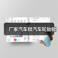 厂家汽车锁汽车轮胎锁（图3）