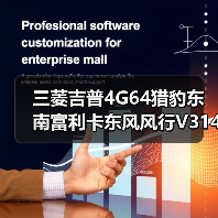 三菱吉普4G64猎豹东南富利卡东风风行V314G63变速箱发动机总成（图3）