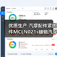优质生产 汽摩配件紧固件MCLN021s镀铬汽车轮胎防盗螺母（图4）