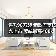 售7.98万起 新款五菱扬光上市 续航最高400km（图3）