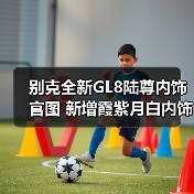 别克全新GL8陆尊内饰官图 新增霞紫月白内饰色（图4）