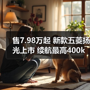 售7.98万起 新款五菱扬光上市 续航最高400km（图4）