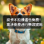 皮卡不拉绿通也免费！高速免费通行新政或将于明年实施（图1）