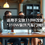适用于宝骏310W改装**310W装饰汽车门碗拉手门把手防刮亮片配件（图2）